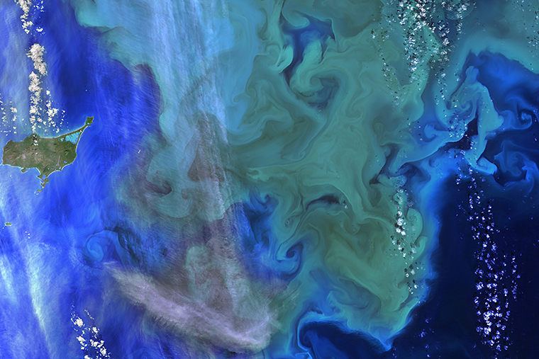 Phytoplankton bloom off the coast of Alaska