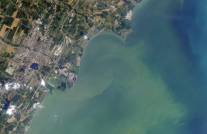 Landsat 8 image of 2014 Lake Erie algal bloom