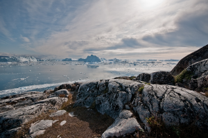 calved icebergs from Jakobshavn Isbrae glacier