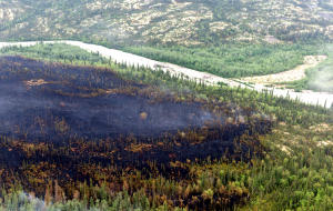 Burned area in Lake Clark NP