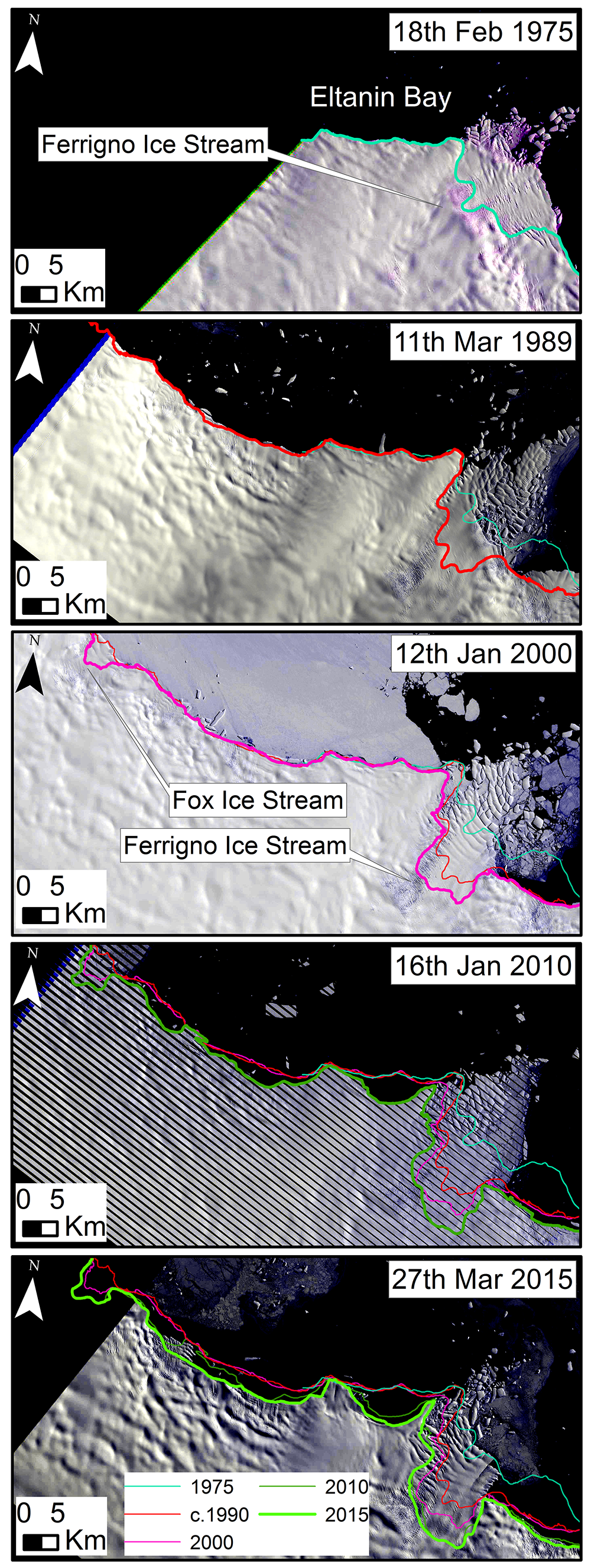 Ferrigno Ice Stream