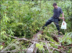 Giuliano Guimaraes examines a fallen tree