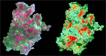 two satellite-derived images of the Wallow Fire