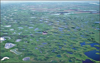 glacially formed depressions that hold dynamic wetlands