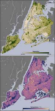 vegetation and temperature map of New York City 