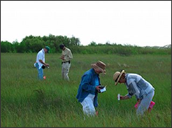 iGETT participants in taking field measurements at Padre Island National Seashore.