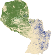 forest change in Paraguay