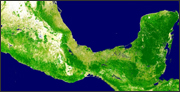 forest cover map