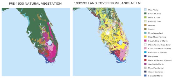 Land cover change in Florida