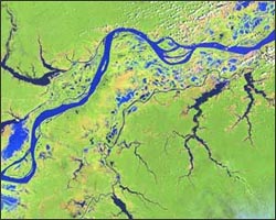 Landsat Image of the Amazon River, Brazil