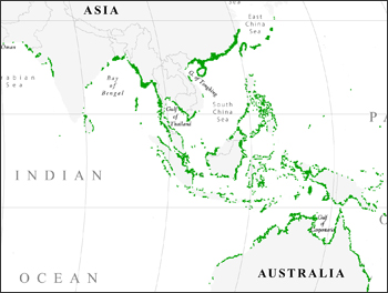 A portion of the map showing mangrove forests distributions of the world. 