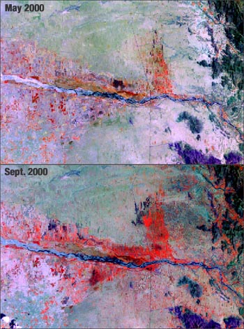 Landsat 7 images of the west coast of Yemen