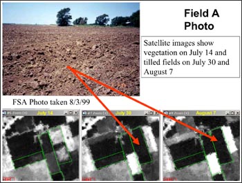 A slide used by Brown in court showing a fallow field and a time series of Landsat NDVI images for that field.