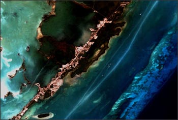 A Landsat 7image of a coral reef near Key Largo, Florida. 