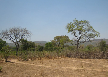 The Balayan-Souroumba region in Guinea