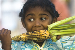 girl eating corn