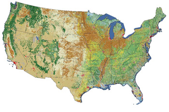 National Land Cover Database 2006