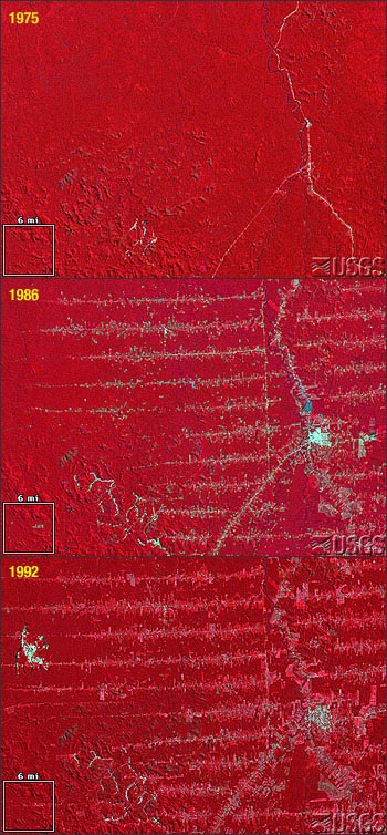Landsat false-color infrared images of Rondônia, Brazil. 