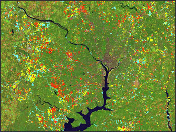 image shows urban growth in the Washington D.C. metropolitan region