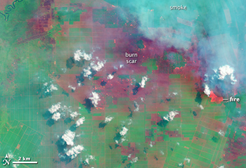Burning fields in Indonesia