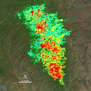 Soil burn severity map for New Mexico Silver Fire 