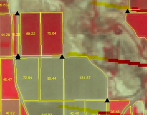 Landsat-derived map of field use