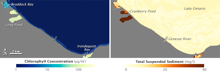 images of wavelength data from OLI