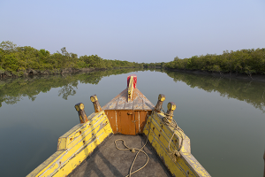 boat in the Sundarbans