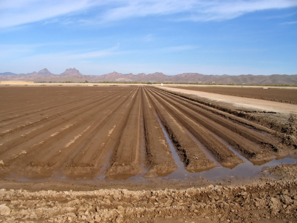 Barren field photo