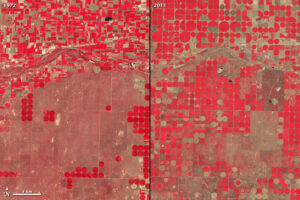 Growing crop circles; Garden City, Kansas, 1972-2011. Landsat imagery over time can be used to help monitor groundwater usage from the Ogalalla Aquifer. Image credit: USGS