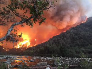 fire approaching King River