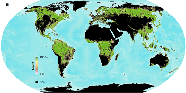 Forest cover map with definition of 10 percent forest cover