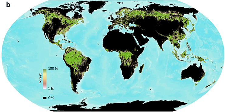 Map of forest cover with a definition of 30 percent forest cover
