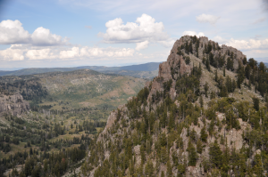 mountain topspruce-fir forest