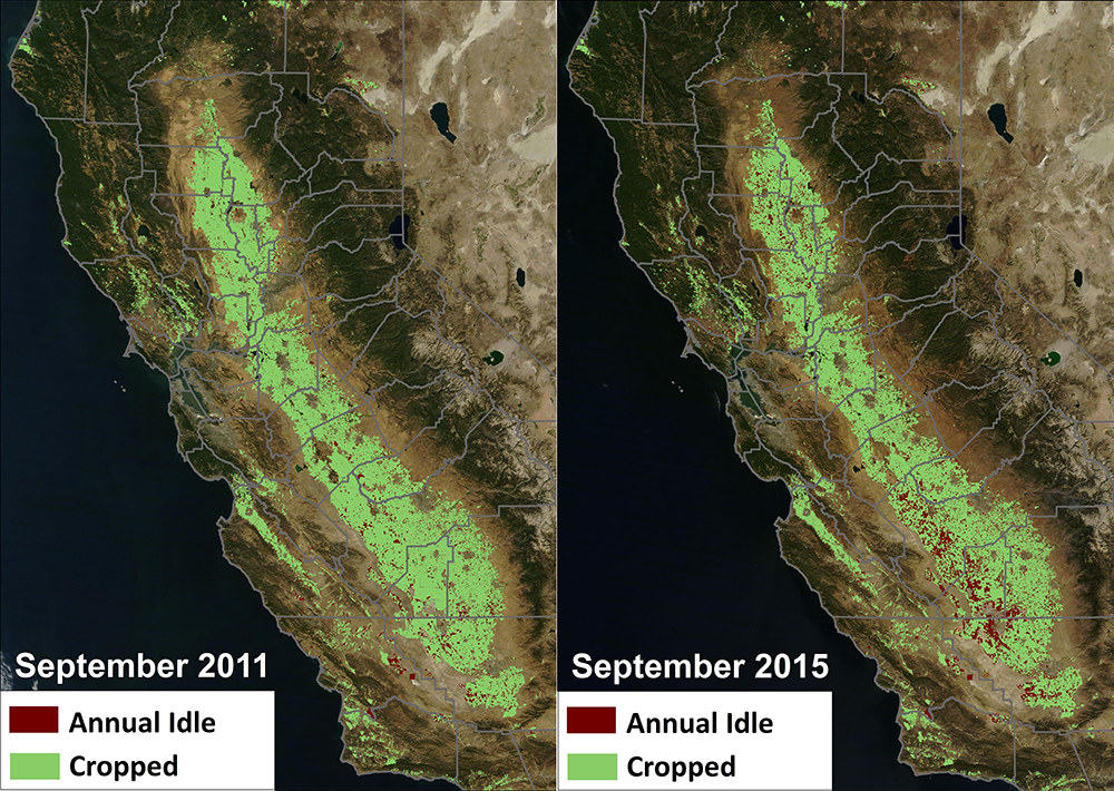 A comparison of idle farm fields in California's Central Valley