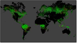 Global Forest Change Map