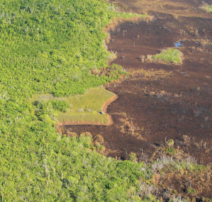 fire scar in the everglades