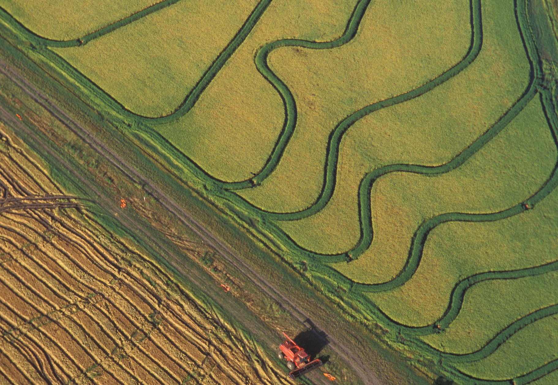 Tractor going through fields