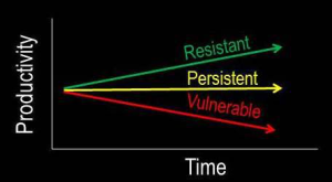 hypothesized trajectories