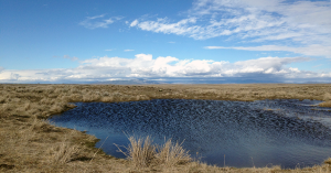 Douglas County, WA wetland