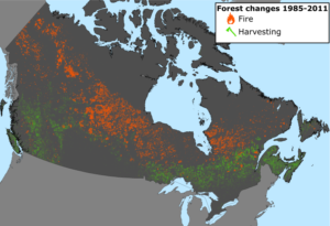 Canadian forest changes 1985-2011