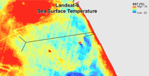 Sea Surface Temperatures in the Santa Monica Bay
