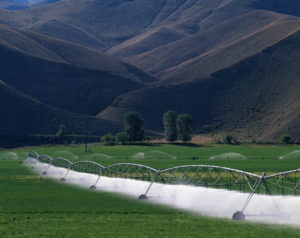 irrigation photo