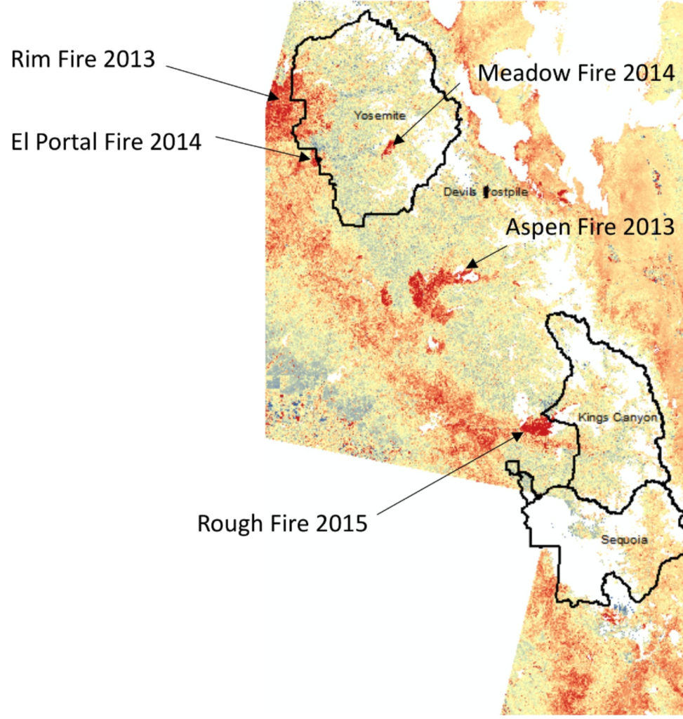 Map of vegetation cover change in southern Sierra Nevadas