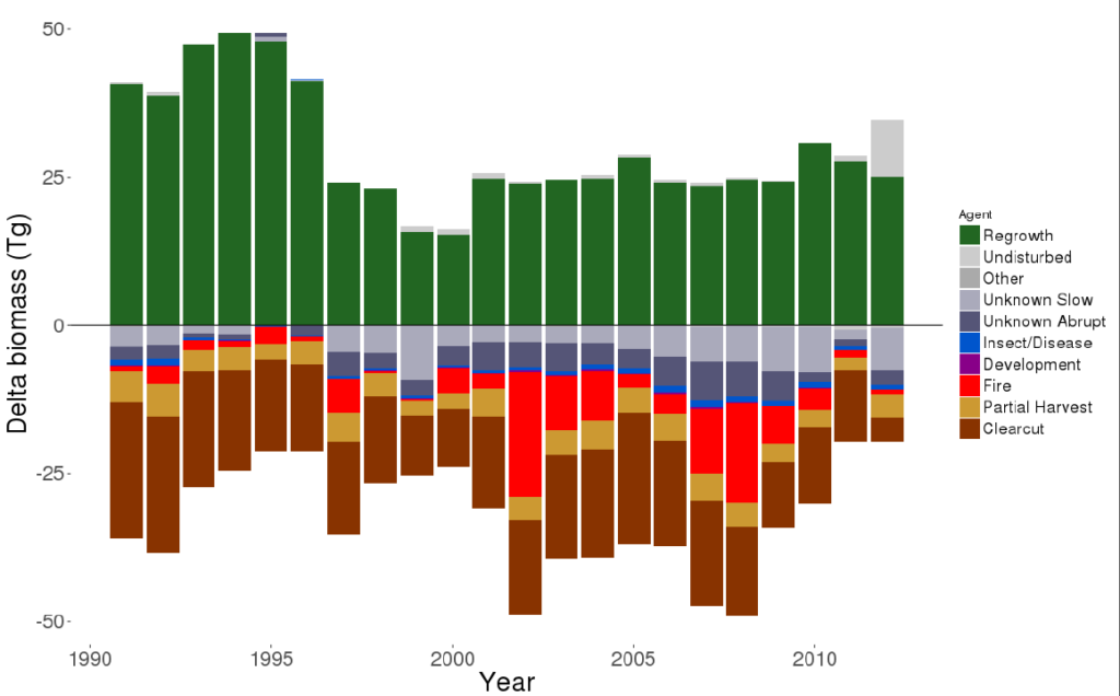 growth and loss of above ground biomass