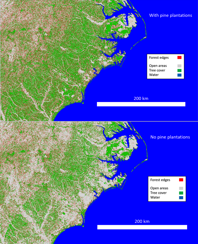 land cover map