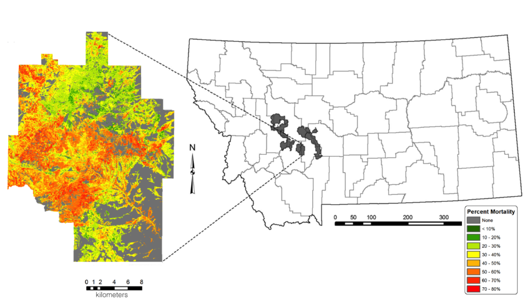 map of tree mortality in Helena National Forest