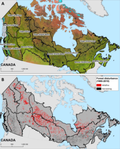 Map of harvest and wildfire forest changes in Canada