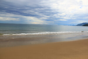 Intertidal zone