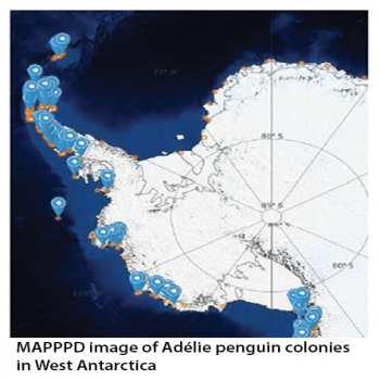 map of Adelie penguin colonies